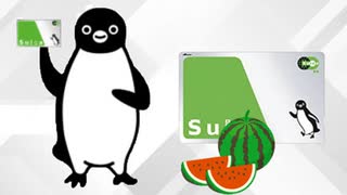 SUICA（西瓜）