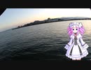 四国めたんの釣り日記　その２