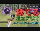 【PSO2NGS】勝てる！フィールドレース板操　～北エアリオ徹底追求～