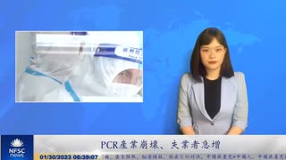 PCR産業崩壊、失業者急増