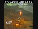 今日はボコ槍で着火　　 [ゼルダの伝説 ブレスオブザワイルド]#shorts