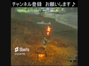 今日はボコ槍で着火　　 [ゼルダの伝説 ブレスオブザワイルド]#shorts