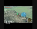 理不尽な目に合うチュチュ　[ゼルダの伝説 ブレスオブザワイルド] #shorts