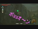 ボヨヨン岬　[ゼルダの伝説 ブレスオブザワイルド]