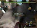 MHP2G　G★★★　どMが竜王の系譜にハンマーで行って来た