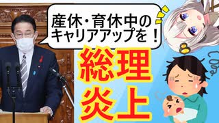 総理「産休中に勉強してキャリアアップしよう！」←炎上してしまう…