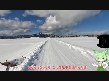 アクティビティのゆっくり（猫）　ゆるポタ道中　Part16　雪中自転車でお買い物へ