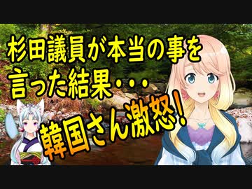 【韓国の反応】ホワイト国復帰について、杉田議員が本当の事を言った結果・・・【世界の〇〇にゅーす】