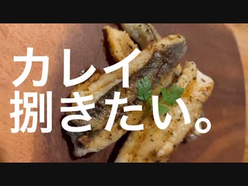 カレイ捌きたい。