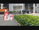 伊地知ニジカ　ゆめうつつ編