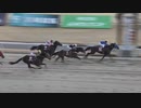 2023年1月31日川崎競馬9R マイスターチャレンジ(C2) イグレック