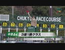 【ウマ娘風】2023年1月5日中京6R 3歳1勝クラス【フリームファクシ】