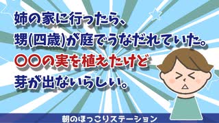 【2chスレ】姉の家に行ったら。甥（四歳）が庭でうなだれていた。〇〇の実を植えたけど芽が出ないらしい。