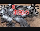 【ポケモンSV】鎧を砕く罠と未知の先【グレンアルマ】