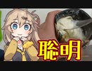 【春日部つむぎの思いつキッチン：2.2】聡明そうで聡明じゃない、でもちょっと聡明なアイス
