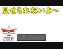 #33 【ドラゴンクエストⅩオフライン】引き続きのサブクエ【目覚めし五つの種族】※ネタバレ注意