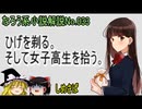 なろう小説No.033「ひげを剃る。そして女子高生を拾う。」ＷＥＢ版（しめさば）ゆっくり解説　ラノベ、なろう小説