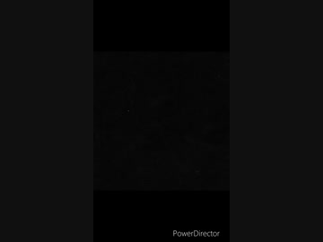 【ぽんの雑談】5類に関する予想がハズレました。ワクチン今後も無料ですって。日本が素晴らしすぎて、海外を軽視する（？）日本人。最近、身近で起きたエピソード。少数派であることを自覚して仲間を増やそう。ほか