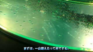 【カブトエビ飼育2021】第05話：失敗を重ねた後の成功だからこそでございます。