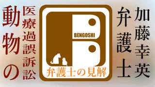 加藤 幸英弁護士のペットの医療過誤訴訟の見解