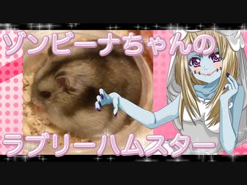 ゾンビーナのハムスターの日常。2