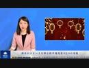 新年のスタートを飾る新中国連盟の5つの吉報
