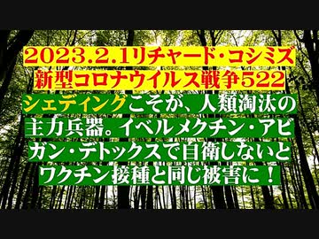 【2023年02月01日：リチャード・コシミズ Internet 講演 （ ニコニコ生放送 LIVE ）（ 改良版 ）】