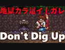 特殊シード値【Don't Dig Up】いったいどんな世界なんだ!?地獄から始まるってマジ？【装備共有テラリア日常編】 初絶縛侵　日常編#67 【実況】