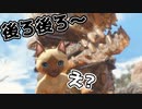 【注意】気付いた時にはもう遅い【モンスターハンターライズ】