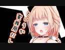 【ソフトウェアトーク劇場】ガンルームトーク一式五号四型【ついなちゃん・OИE】