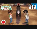 【実況】牧場物語 Welcome！ ワンダフルライフを遊ぶいも【#10】