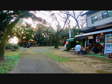 千葉県市川市国府台を歩く【今度こそ市川市編 part 6】【散歩213】
