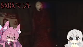 GABAマントNo.2『出会い』