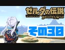 [ゼルダの伝説 ブレスオブザワイルド]つくよみちゃんがストーリーをのんびり振り返りつつハイラルを駆ける その30 [A.I.VOICE COEIROINK 実況]
