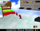 紹介するほどでもない改造マリオ64シリーズ【SimpleFlips Musical Medallion編】