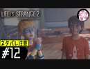 【LIS2＃12】凡人が行く兄弟狼旅