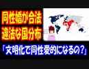 【海外の反応】 同性婚が 合法＆ 違法の国 分布図が 話題に 「どうして文明化してくると同性愛的になるんだい？」