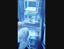 臓器マーケットで品定めをするヒットマン