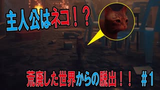 【Stray】荒廃した世界で彷徨う主人公はネコ！？＃1【ゲーム実況】（廉価版）