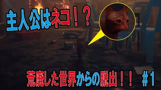 【Stray】荒廃した世界で彷徨う主人公はネコ！？＃1【ゲーム実況】（廉価版）