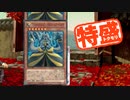【MUGEN大祭】特盛りシングルトーナメント　Part133