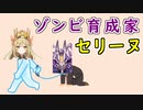 【FEH_1154】 セリーヌ使用感！　（ ゾンビ育成家！ ）　『 幸福な王女 』　セリーヌ　フォデス　ファイアーエムブレム エンゲージ　【 ファイアーエムブレムヒーローズ 】