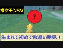 【初見プレイ実況】人生で初めて色違いを捕まえた！ポケモンスカーレット　図鑑完成を目指す【part20】