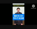 アルパカのバグとか得意ですよ