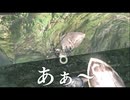 【初見】ああああああああああ【ダークソウルリマスタード】part5