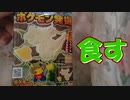 【実写】ポケモン発掘チョコを食してみた