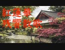 エレピアレンジ『紅蓮華/残響散歌』