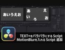 【DaVinci Resolve】TEXT+をバラバラにするスクリプト、MotionBlurを入れるスクリプト追加【りぞりぷと1.6.14】