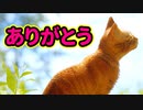 猫ちゃんとサイバーシティの絶妙な世界観！『Stray』実況プレイ final