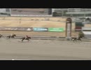 【競馬】2023年　川崎3R　3歳7イ【ヘルシェイク】